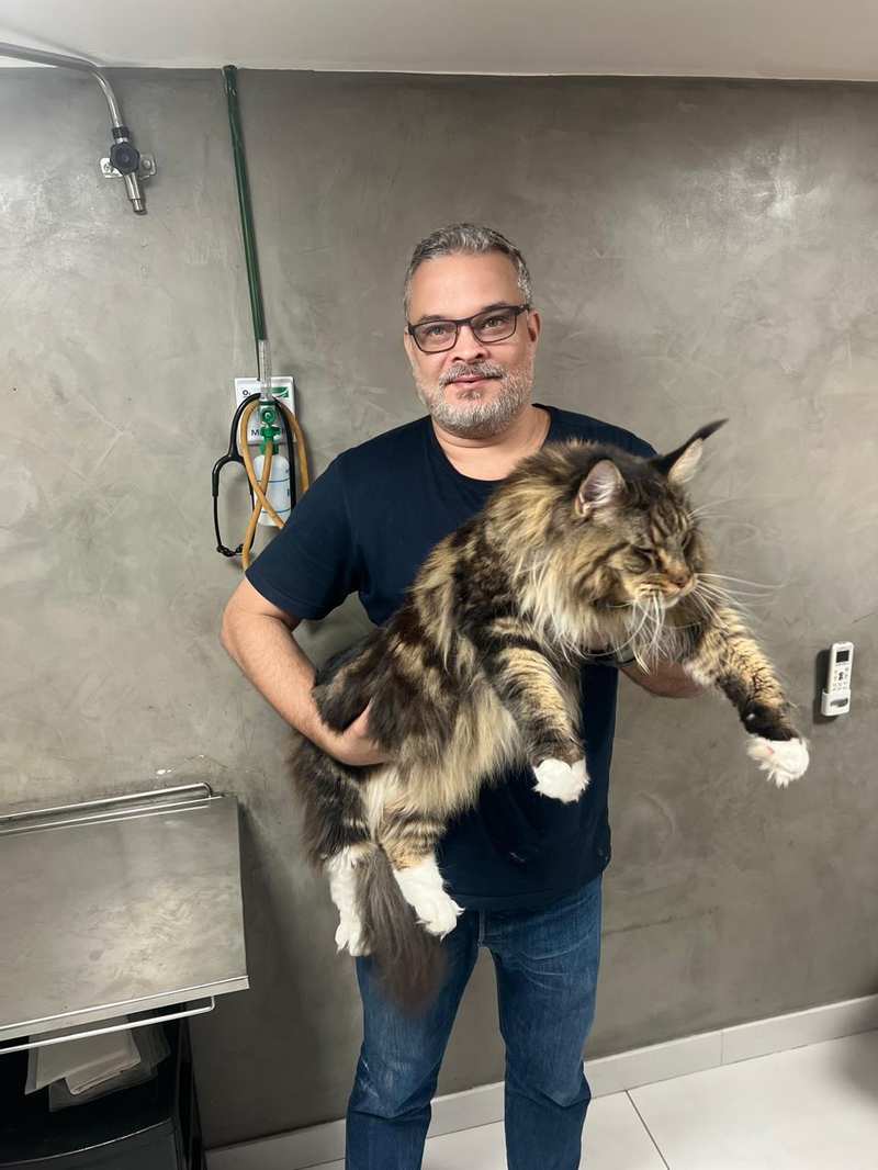 Dr. Eugênio com gato Maine Coon