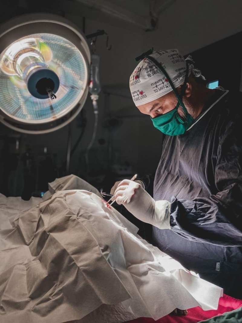 Cirurgia veterinária